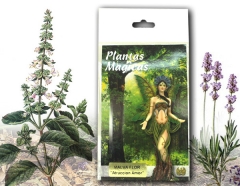 Hierbas y plantas magicas