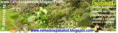 Foto 114 jardinería en Pontevedra - Ecohuerta Medicinal Biologica
