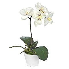Planta artificial phalaenopsis blanca en lallimonacom