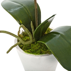 Planta artificial phalaenopsis blanca en lallimonacom detalle2