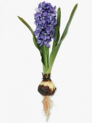 Jacintos artificiales de calidad jacinto artificial lila con bulbo y hojas  oasisdecorcom