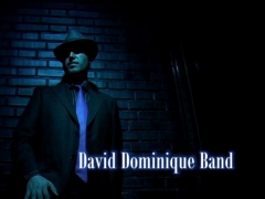 David dominique (video promo 2011)