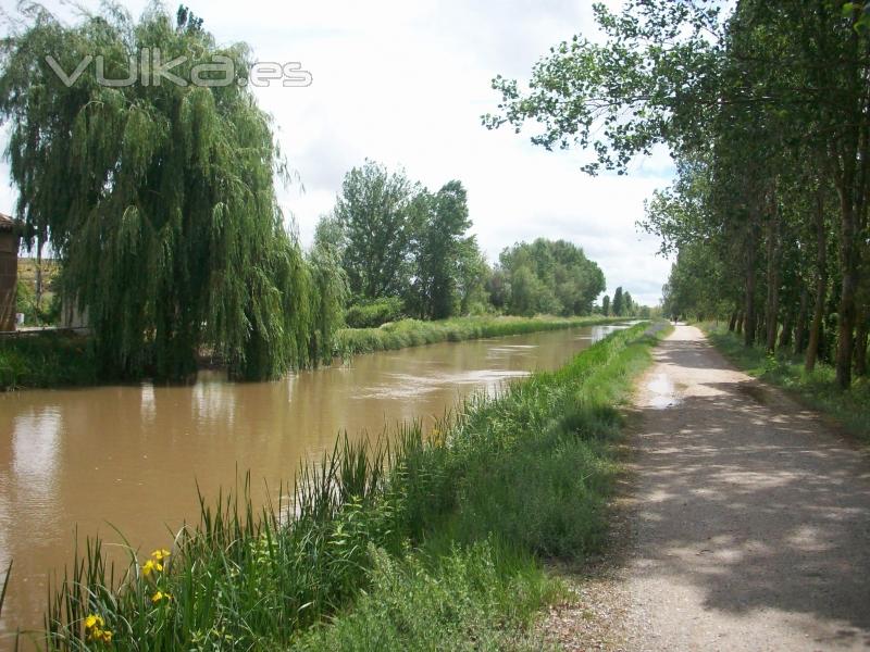 camino de santiago junto al canal en fromista