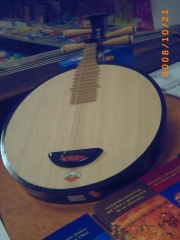 Guitarra tradicional china