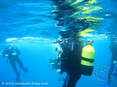 Foto 26 organización de viajes en Alicante - Mermaid Diving Moraira - Centro de Buceo