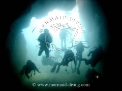 Mermaid diving moraira - centro de buceo - foto 14