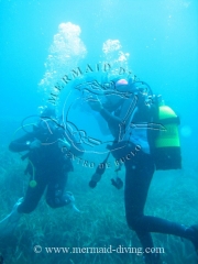 Foto 33 organización de viajes en Alicante - Mermaid Diving Moraira - Centro de Buceo