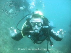 Mermaid diving moraira - centro de buceo - foto 14