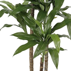 Planta artificial dracaena fragans 150 verde en lallimonacom detalle2
