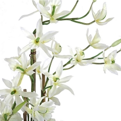 Planta artificial flores cymbidium blancas en lallimonacom detalle2