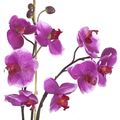 Planta artificial flores orquidea lila en lallimonacom detalle1