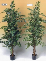 Ficus artificiales de calidad ficus artificial exotica oasisdecorcom