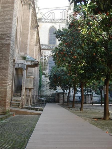 catedral de sevilla