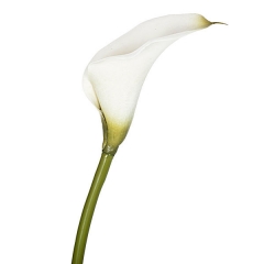 Flor artificial cala pequena blanca en lallimonacom