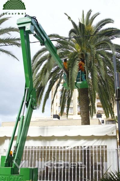 poda con plataforma elevadora