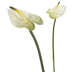 Flor artificial anthurium blanco 40 en lallimonacom detalle1
