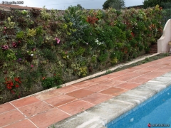 Muro vegetal - Belleza e insonorización con poco mantenimiento