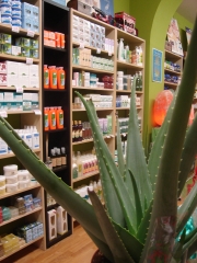 Tienda la casa del aloe vera