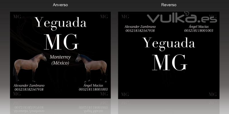 Flyer para Yeguada MG Montevideo (México)