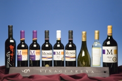 Seleccion de vinos de toro, bodega vinaguarena munia 2008 mejor vino de castilla y leon 2011