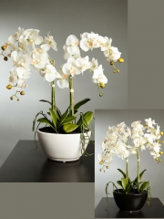 Orquideas artificiales de calidad orquideas butterfly artificiales en maceta grande oasisdecorcom
