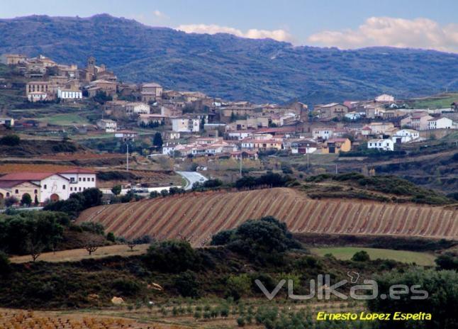 San Martin de Unx y sus viñedos