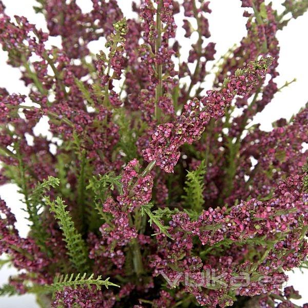 Planta artificial flores astilbe burdeos 20 en lallimona.com (detalle 2)