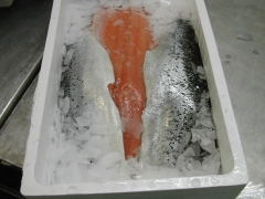 Filete de salmon en semiconserva (cajas de 6 kg)