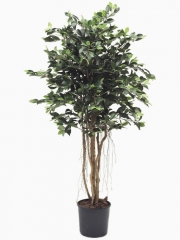 Ficus artificiales de calidad arbol artificial ficus tropic oasisdecorcom