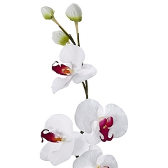 Rama artificial flores orquideas blancas cereza con hojas en lallimonacom (detalle 1)