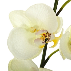 Rama artificial flores orquideas crema pequenas con hojas en lallimonacom (detalle 2)