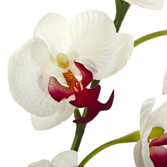 Rama artificial flores orquideas blancas cereza pequenas con hojas en lallimonacom (detalle 2)