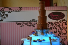 La fuente de chocolate con el photocool detras