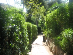 Foto 138 mantenimiento de jardinería en Valencia - Jardineria mes Natur
