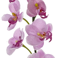 Rama artificial flores orquideas pequenas lila con hojas en lallimonacom (detalle 2)