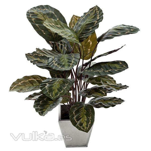 Planta artificial calathea natural 65 en lallimona.com (detalle 3)