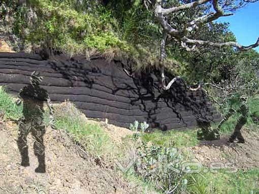 Algo de ingeniería blanda ayuda al medio ambiente. Muros con compost reforzado