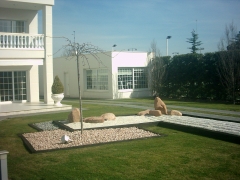 Foto 166 fertilizantes y abonos en Madrid - Jardineria Sostenible, sl