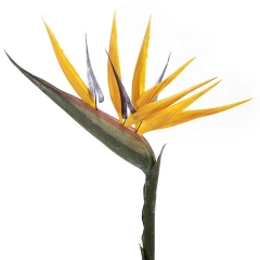 Flor artificial ave del paraiso 90 en lallimonacom