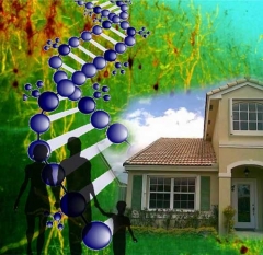 El adn ecologico sabe usted si su casa tiene genetica verde