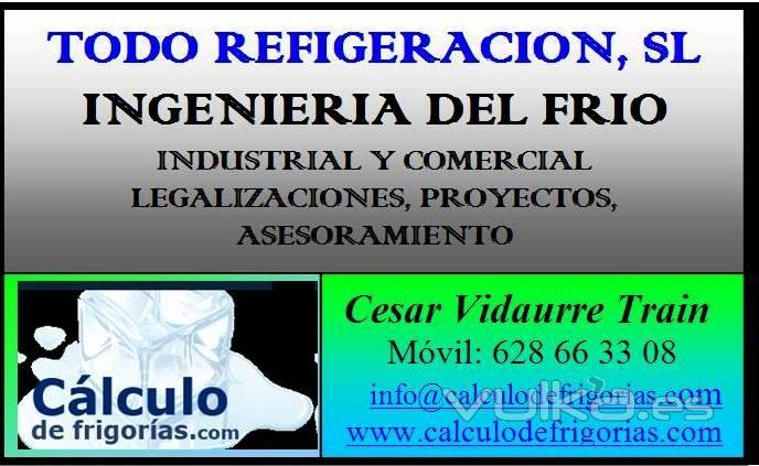 INGEIERIA DEL FRIO COMERCIAL E INDUSTRIAL