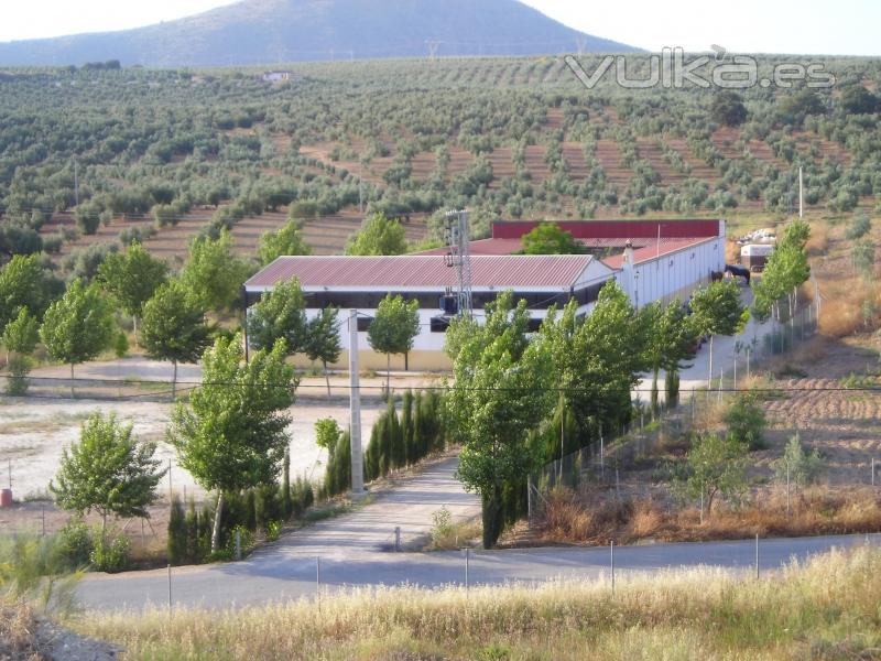 Vista panorámica de las instalaciones