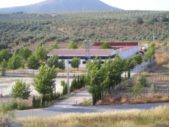 Vista panoramica de las instalaciones