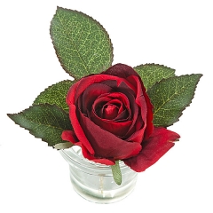 Arreglo floral rosa roja maceta vidrio 12 en lallimonacom (detalle 1)