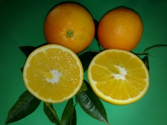 Naranja 1ª calidad de mes