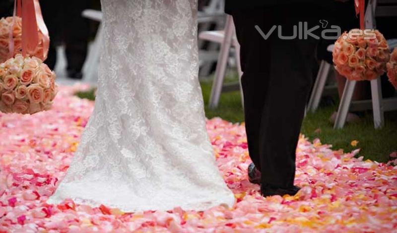 Vorec wedding planner & Oficiante de ceremonias civiles