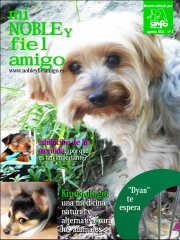 2ª  revista anfa julio (revista informativa y educativa de etologia canina)
