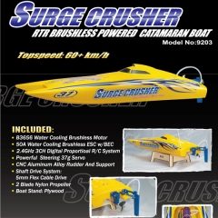 Catamaran surge crusher 24 ghz brushless joysway rc electrica