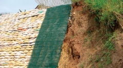 Las geobolsas como base para muros y taludes verdes