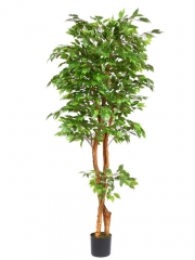 Ficus artificiales de calidad arbol ficus artificial 213 oasisdecorcom